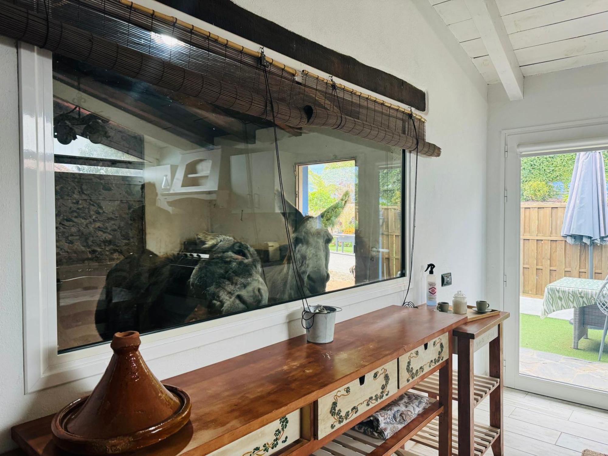 Vila Casa Antigua La Esperanza  Exteriér fotografie